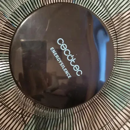 Daire Grazioso Red Rose