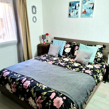 Grazioso Red Rose Appartement Moltrasio